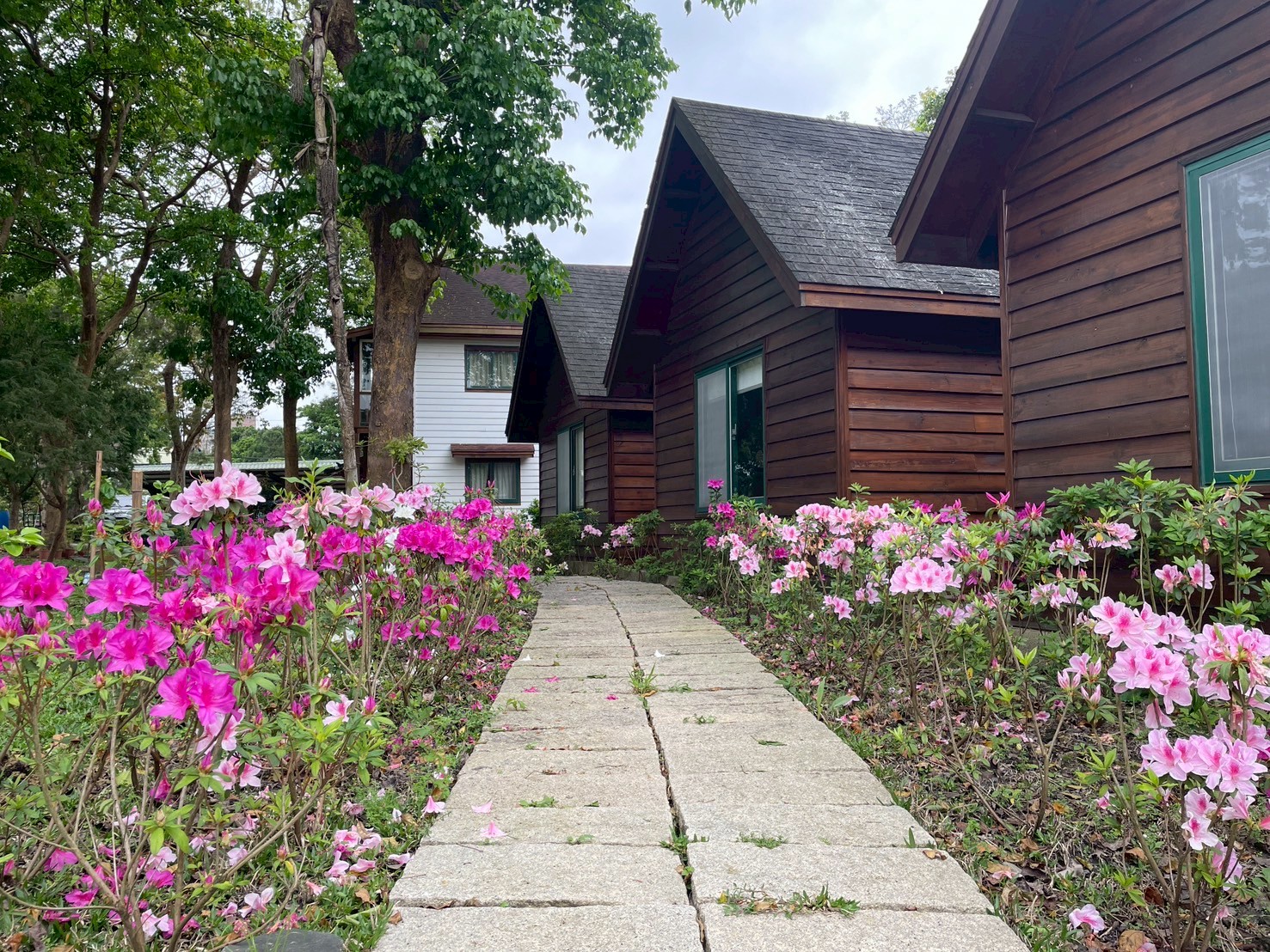 漫遊苗栗｜用心感受每一段旅行時光